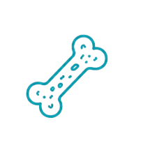Osteoporosis icon