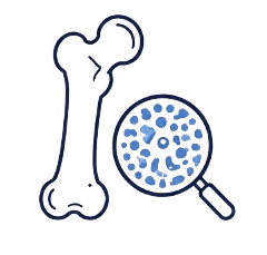 Bone density assessment icon