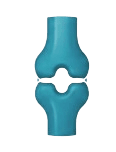 Bone density scan icon