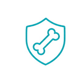 Fracture prevention icon