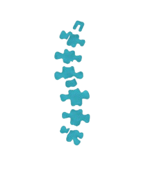 Ankylosing spondylitis icon