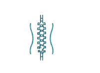 Posture correction icon